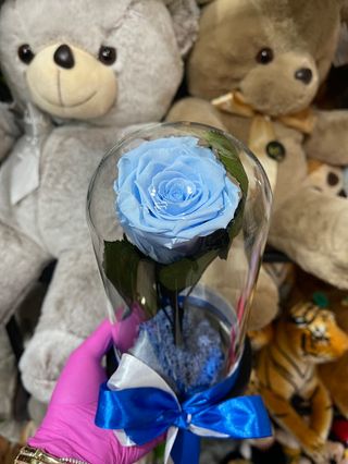 Crio Bleu Ciel Rose 2 