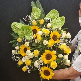 Palma funebre delicata