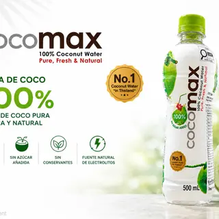 Agua de coco COCO Max 500 ml