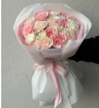 Bukiet z 15 pastelowych goździków