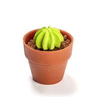 Maceta de tiramisú (vegetariano)