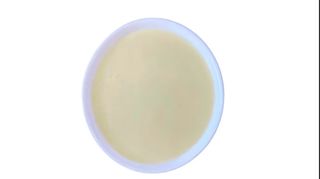 Wasabi Mayo
