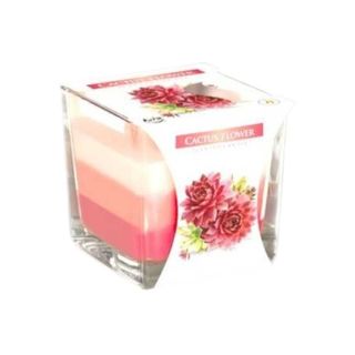 Vela Colorida Flor de Cacto