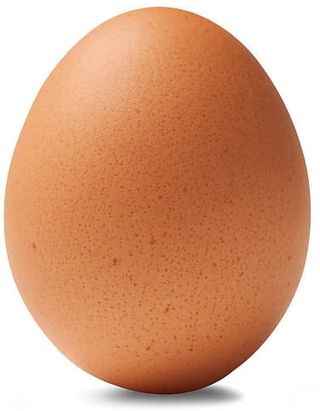 კვერცხი ყავისფერი 1ც