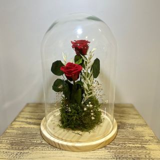 Cupula grande rosa preservada