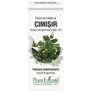 Extract din mladite cimisir 50 ml (BUXUS SEMPERVIRENS)