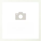 131. Пържени спагети със зеленчуци и яйца (700г)