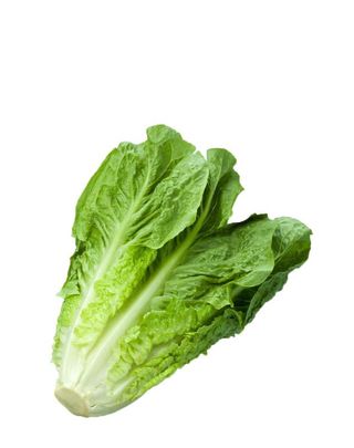 Sal Sucrine Verte 3Fx12