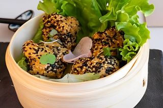 Tori Karaee (4 Uds.)