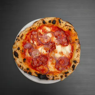 Calabrisella