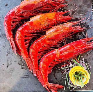 Gamba roja de Huelva (12 uds.)