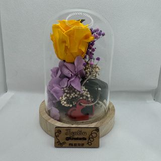 Cúpula con leds y una rosa ETERNA AMARILLA