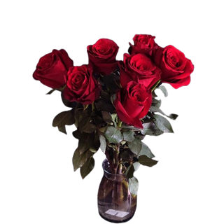 Róża czerwona długa 7 szt.