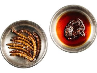 Личинки зофобаса (10psc)