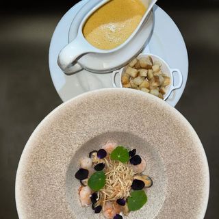 Bisque
