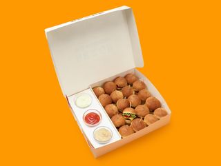 Անգուս մինի բոքս 20 մինի բուրգեր