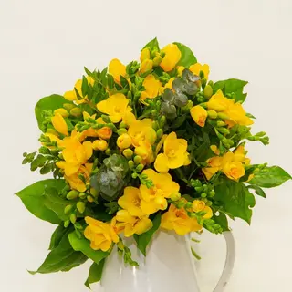Buchet cadou cu 25 frezii galbene