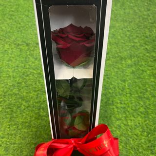 Wieczna róża czerwona 