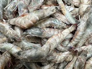 Дика крупна креветка (1000g)