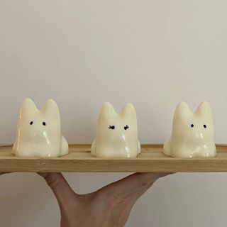 Панна-котик