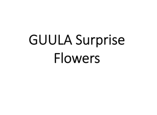 Guula vase surprise