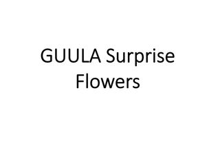Guula vase surprise