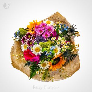 Promisiune Colorată