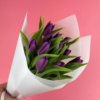 Букет з 11-ти фіолетових тюльпанів