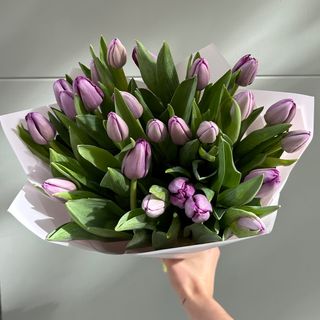 25 tulipanes morados 