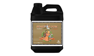 PH Perfect Sensi coco Bloom Part B 500 მლ