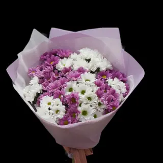 Pink&White 6