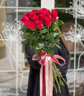 Trandarifi roșii - 15