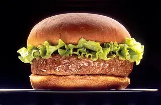 Hamburger Montana