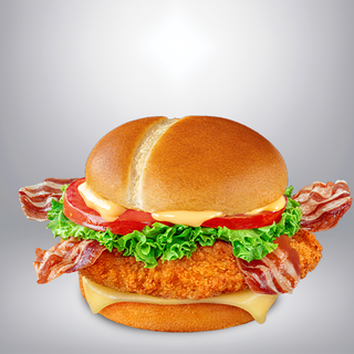 McCrispy HrBurger