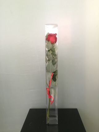 Rosa individual en caja