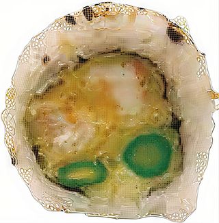 Uramakis A17 (8 Uds.)