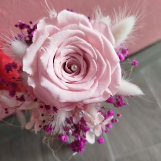 Rosa preservada dura mínimo 7 anos 