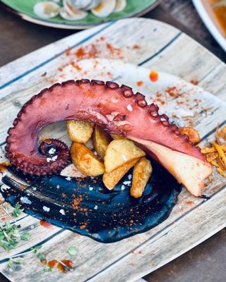 REJO EXTRA Pulpo a la parrilla