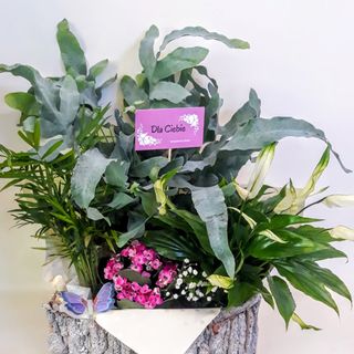 Kosz kwiatów doniczkowych 