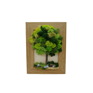 Tablouri Licheni Stabilizați Copacel Verde