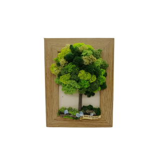 Aranjament licheni, cod ARL42