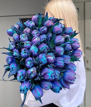 51 de lalele — Blue Whisper