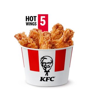 Bucket 5 Hot Wings