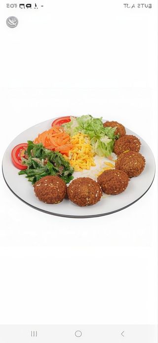 Plato De Falafel Con Arroz