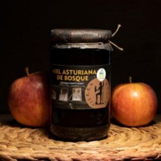 Miel De Bosque Tierra Astur (450 Grs.) (11151)