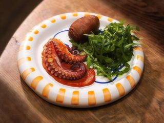 Восьминіг на грилі з картоплею та соусом зі стиглих томатів (210г)