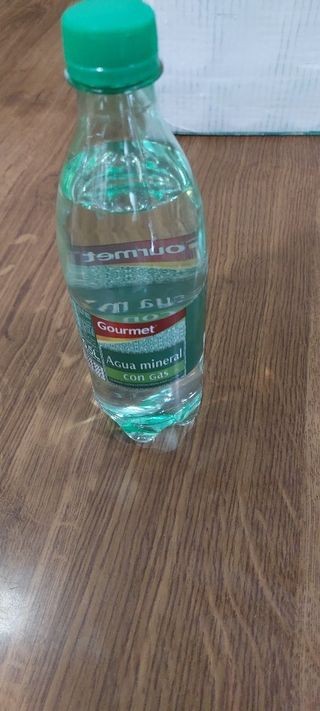 Agua Con Gas (330 Ml.)