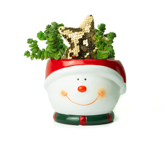 Planta natural en macetero de muñeco de Nieve