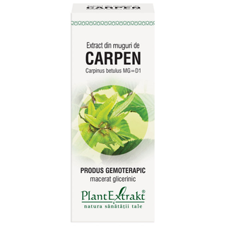 Extract din muguri de carpen 50 ml (CARPINUS BETULUS)