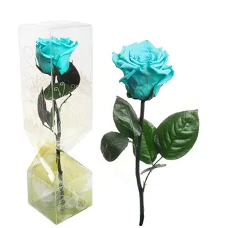 Rosa eterna turquesa tallo corto